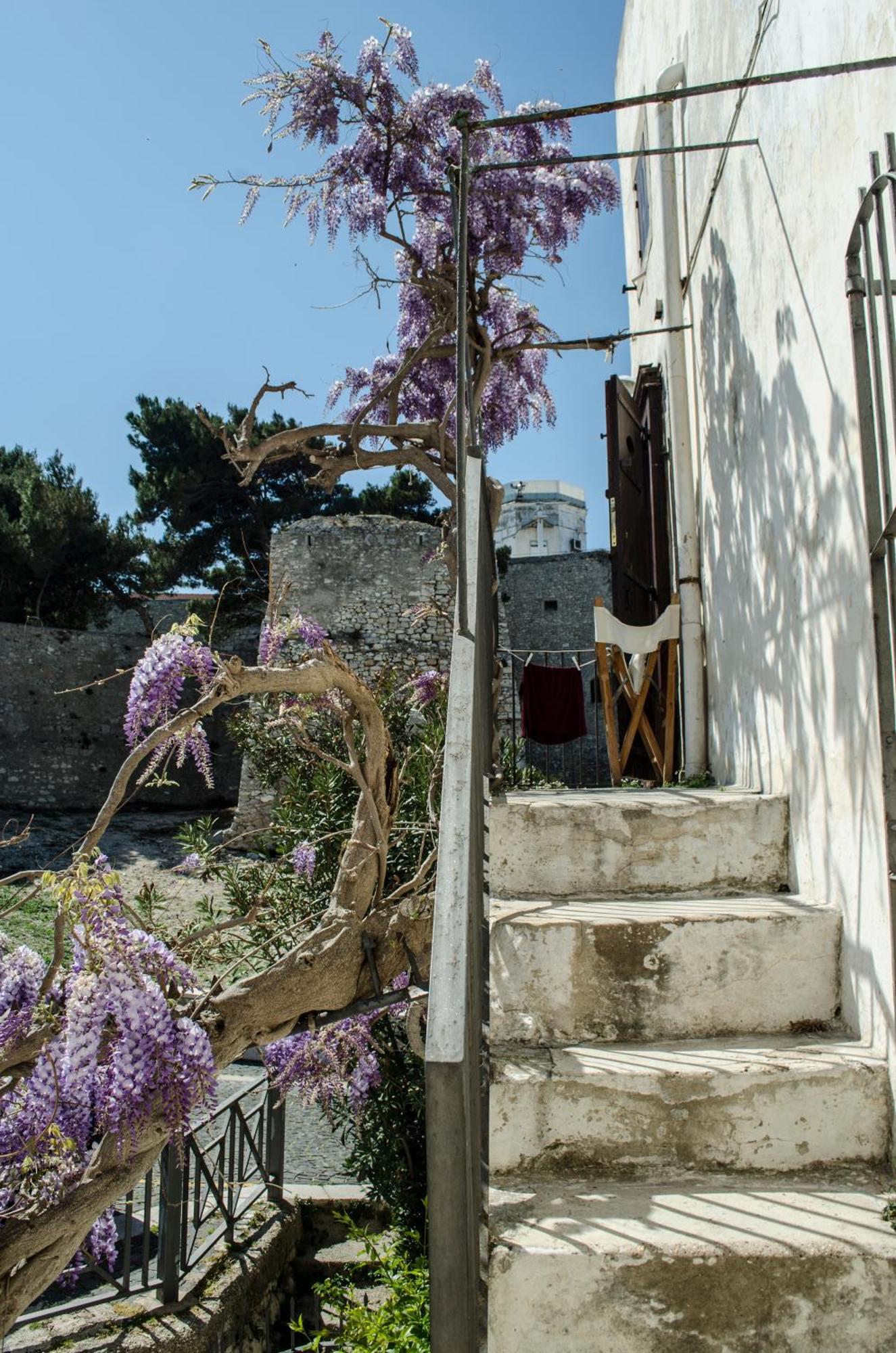 Torre La Mezzaluna Bed & Breakfast Vieste Eksteriør bilde